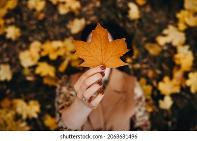 Closeup of a woman holding a golden leaf covering her face, lying on ground in a forest, on a warm autumn day.