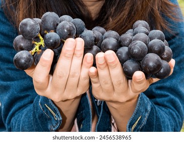 Close-up of a woman holding grapes in her hands, the vineyard of Miaoli, Taiwan. - Powered by Shutterstock