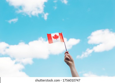 Closeup Of Woman Human Hand Arm Waving Canadian Flag Against Blue Sky. Proud Citizen Man Celebrating National Canada Day On 1st Of July Outdoor. 