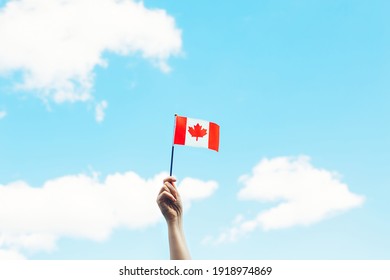 Closeup Of Woman Human Hand Arm Waving Canadian Flag Against Blue Sky. Proud Citizen Man Celebrating National Canada Day On 1st Of July Outdoor. 