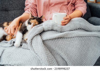 Close-up Woman In A Plaid Drinking Hot Tea, Petting A Relaxed Cat On The Sofa At Home. Cozy And Comfortable Winter Or Autumn Weekends. Pleasant Ways To Keep Warm. Take A Break And Relax.