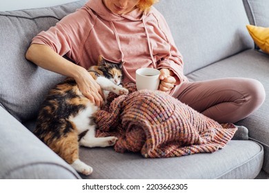 Close-up woman in a plaid drinking hot tea, petting a relaxed cat on the sofa at home. Cozy and comfortable winter or autumn weekends. Pleasant ways to keep warm. Take a break and relax - Shutterstock ID 2203662305