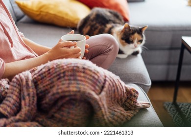 Close-up woman in a plaid drinking hot tea with relaxed cat on the sofa at home. Cozy and comfortable winter or autumn weekends. Pleasant ways to keep warm. Take a break and relax. Selective focus. - Powered by Shutterstock