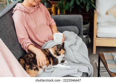 Close-up Woman In A Plaid Drinking Hot Tea, Petting A Relaxed Cat On The Sofa At Home. Cozy And Comfortable Winter Or Autumn Weekends. Pleasant Ways To Keep Warm. Take A Break And Relax