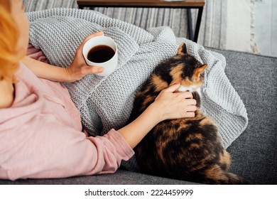 Close-up woman in a plaid drinking hot tea, petting a relaxed cat on the sofa at home. Cozy and comfortable winter or autumn weekends. Pleasant ways to keep warm. Take a break and relax - Shutterstock ID 2224459999