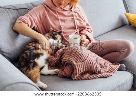 Close-up woman in a plaid drinking hot tea, petting a relaxed cat on the sofa at home. Cozy and comfortable winter or autumn weekends. Pleasant ways to keep warm. Take a break and relax