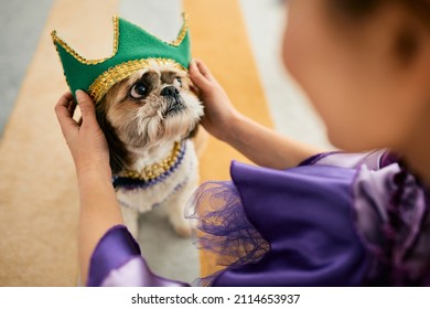 Close-up Of Woman Putting A Crown On Dog's Head While Preparing For Mardi Gras Carnival At Home. 