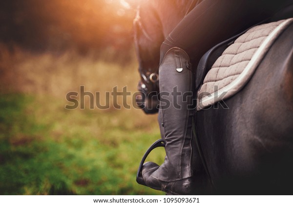 Closeup of a woman in riding gear sitting in a
saddle on a chestnut horse horse while out for ride in the
countryside in autumn