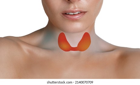 Close-up woman with thyroid gland. A virtual thyroid gland is drawn on the neck in red. Medical ultrasound diagnostics of the thyroid gland and health check-up concept