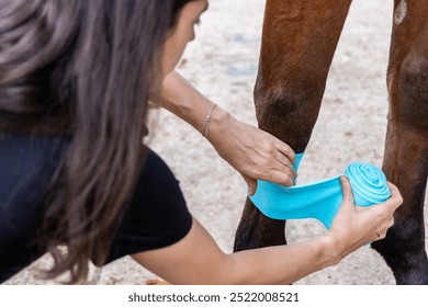 A close-up of a woman wrapping her horse's leg with a blue protective bandage. The image highlights the careful attention to equine care and injury prevention in a rural setting. - Powered by Shutterstock