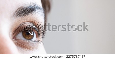 Close-up of a woman's eye after an eyelash lamination procedure. 