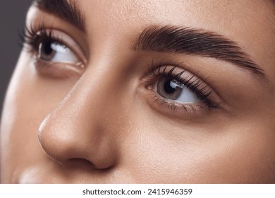 Close-up of a woman's eyes with well-defined eyebrows, long lashes, and smooth skin, highlighting meticulous grooming. Concept of mascara brand, lash volume and eye enhancement. Ad - Powered by Shutterstock