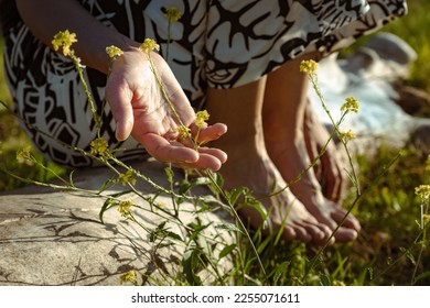 Close-up of woman's hand sitting on a log touching wildflowers. Enjoying nature. - Powered by Shutterstock