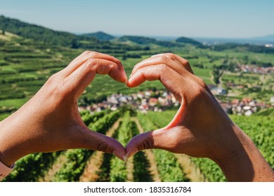 Nahaufnahme der Hände einer Frau, die ein Herz um einen schönen Weingarten in Kaiserstuhl bildet.