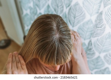 Close-up Of Woman's Head With Permanent Gray Hair Growing Back Uncolored Hair Roots, High Angle View. Blond Woman With Gray Hair Requiring Coloring