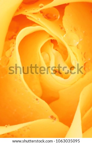 Similar – Image, Stock Photo flower spiral pink