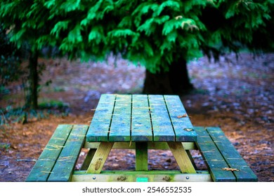 A close-up of a wooden picnic table in a forested area of Ucieda, Cabuerniga Valley, Cantabria, Spain. - Powered by Shutterstock