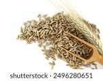 Closeup of a wooden scooper filled with rye grains, positioned next to rye ears isolated on a white background. Perfect for agricultural and food industry themes