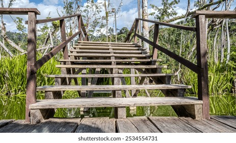 close-up of wooden stairs in a swampy area, leading upward with trees in the background. - Powered by Shutterstock