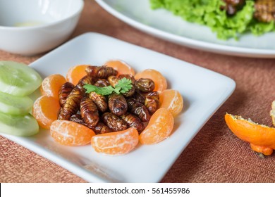 Closeup Woodworm edible fried insect and orange on white plate.  Insects are full of protein, vitamins and minerals delicious are popular in Thailand