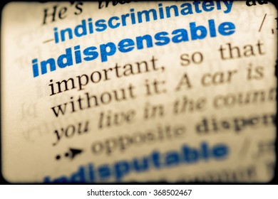 Closeup Word English Dictionary Indispensable Definition Stock Photo ...