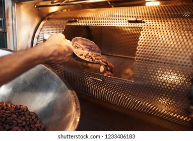 Closeup Of A Worker In An Artisanal Chocolate Making Factory Scooping Cocoa Beans From A Bowl Into A Roasting Machine