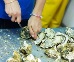 Close-up Of Worker Opening Oysters At Oyster Farm Or Restaurant