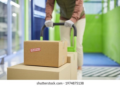 Close-up of worker pushing the trolley with boxes and shipping them in warehouse