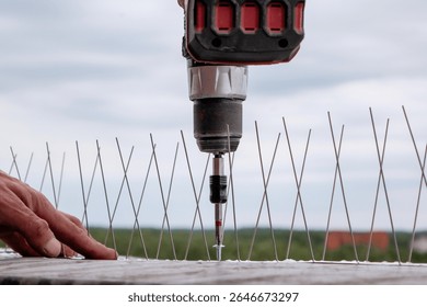 Close-up of a worker using a cordless power drill to install stainless steel bird deterrent spikes on a rooftop edge, with protective anti-pigeon barrier system in focus