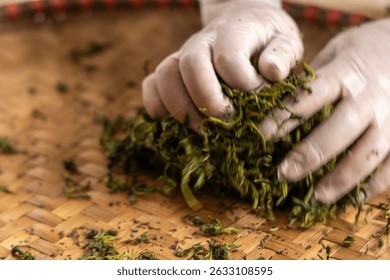 Close-up of a worker's gloved hands manually processing fresh tea leaves on a bamboo tray in Thai Nguyen, a traditional tea-making step.