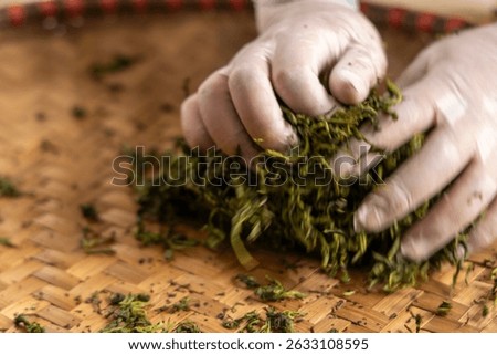 Close-up of a worker's gloved hands manually processing fresh tea leaves on a bamboo tray in Thai Nguyen, a traditional tea-making step.