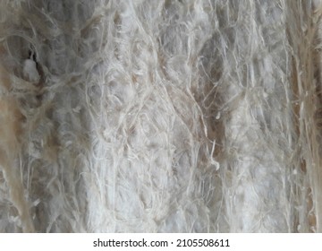 Closeup Of Worn White Cotton Rag Texture