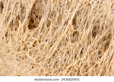 close-up of yeast dough made from whole grains, Wheat proteins give dough its sticky properties, concept of gluten in baked goods - Powered by Shutterstock