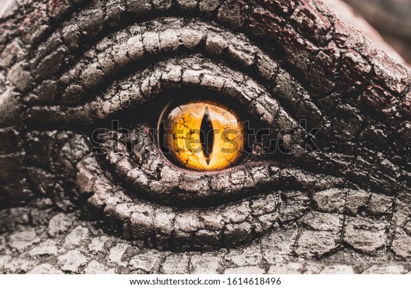 eye dinosaur