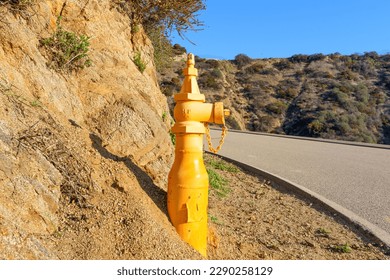Close-up of a yellow fire hydrant installed on the roadside of a paved fire road in Runyon Canyon Park, California.