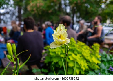 Closeup Of Yellow Flower Blooming Against People Listening Fairytale Story With Trees In Background At Park During World And Spoken Word Event