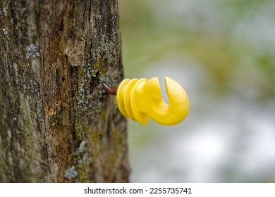 Close-up of yellow hook of cattle fence attached to wooden pole with missing wire at farm at City of Zürich on a gray and cloudy autumn day. Photo taken January 29th, 2023, Zurich, Switzerland. - Shutterstock ID 2255735741