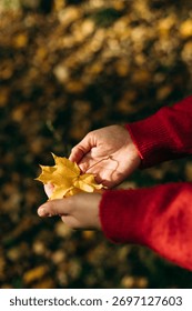 Close-up of yellow maple leaf held by woman in the park during autumn walk. Warm seasonal mood, fall nature and outdoor lifestyle concept.
