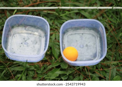 Close-up of yellow ping pong balls in two contrasting containers on green grass, ready for a fun game. Vibrant and playful scene perfect for outdoor activities
 - Powered by Shutterstock