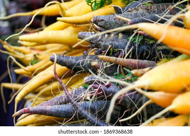 Close-up of yellow and purple carrot roots
