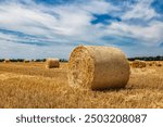 Closeup of a Yellow Round Straw Bale background.Field landscape with blue sky. Wheat field after harvesting.Harvesting hay bales.Haystacks.Farming