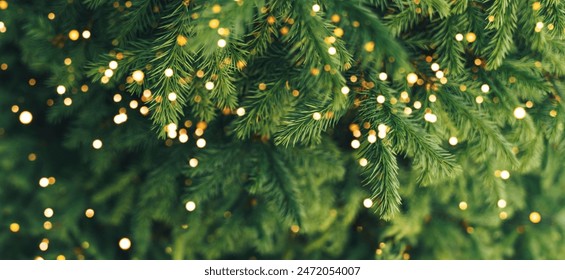 A close-up of a young fir branch with a garland in the summer. - Powered by Shutterstock