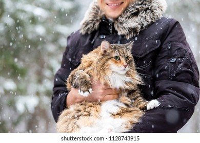 Closeup Of Young Happy Man Holding Maine Coon Cat Outside, Outdoors In Park In Snow, Snowing