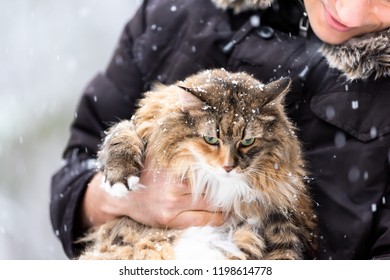 Closeup Of Young Happy Man Holding Maine Coon Cat Outside, Outdoors In Park In Snow, Snowing, During Snowstorm, Storm With Snowflakes, Flakes Falling