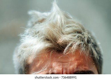 Close-up Of Young Head With Bleached Crest-shaped Hair