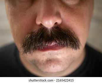 closeup-young-mans-bushy-mustache-260nw-2165422415.jpg