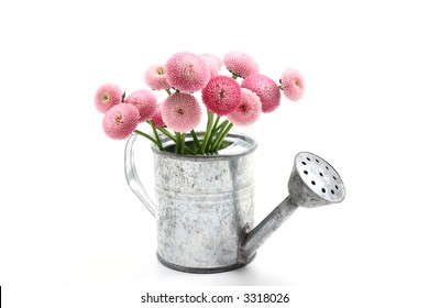 Regadera Flores: imágenes, fotos de stock y vectores  Shutterstock