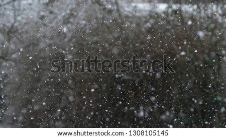 Similar – Image, Stock Photo Snow/Rain Nature Air