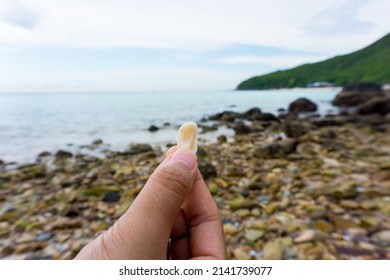Close-up.Woman's hand picking up small pebbles with pebble beach background.
