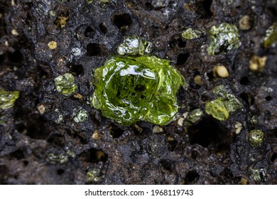 Closup of raw Peridot gemstone, attached to original volcanic host rock. Smaller specimens surrounding. From Hawaii.
